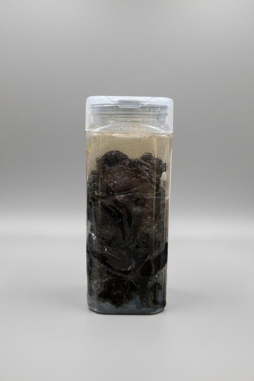 Prunes